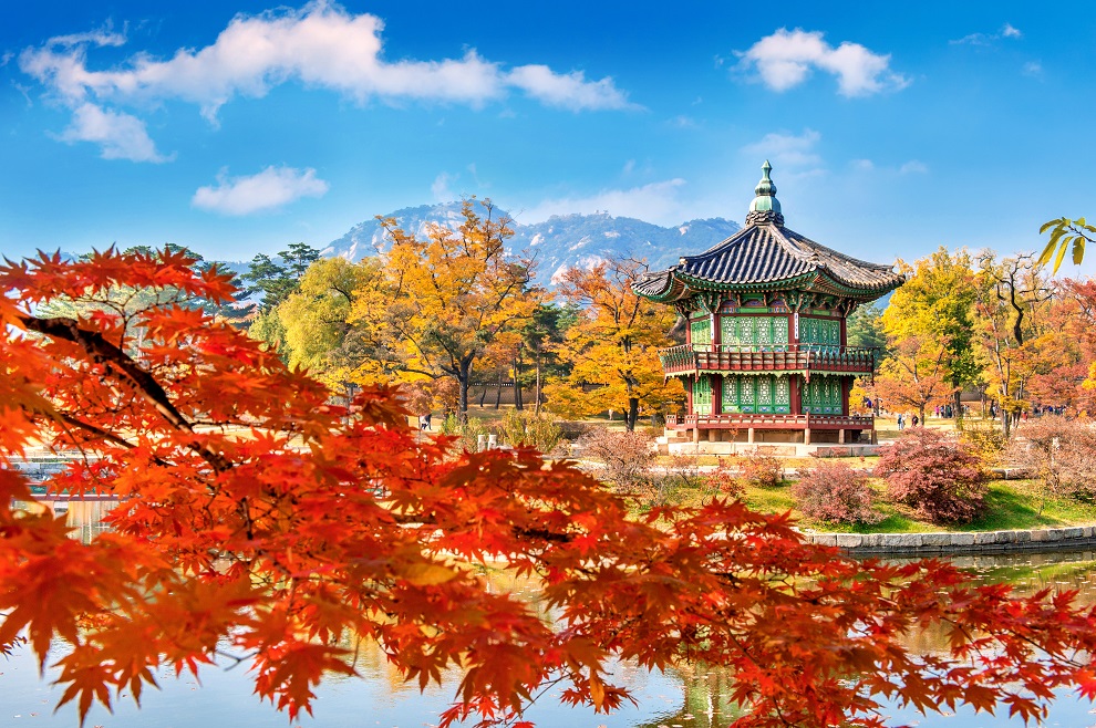 Hàn Quốc mùa lá đỏ 5N4Đ: Seoul – Everland – Nami – Aegibong | Vietnam Airlines