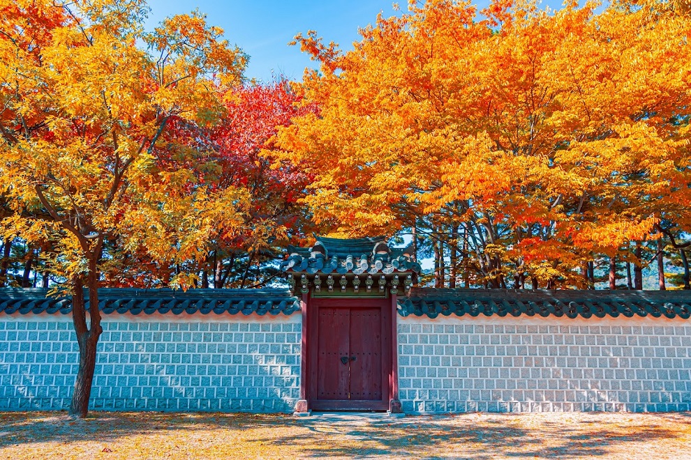 Hà Nội – Seoul – JTBC Seoul Marathon 2024