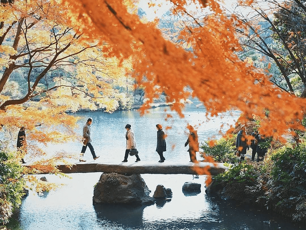 Tokyo – Núi Phú Sĩ – Tokyo Skytree – Meji jingu 5N4Đ