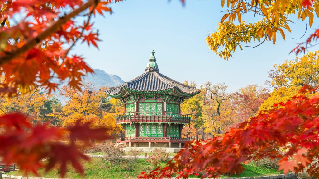 Seoul – Busan mùa thu 2025
