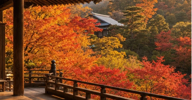 Khu vườn đền Kyoto phủ sắc đỏ vàng trong mùa thu
