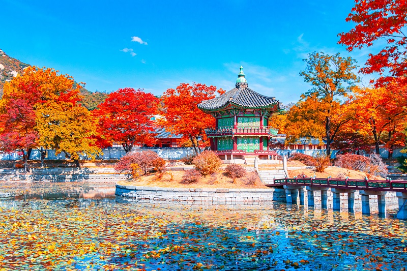 Hàn Quốc mùa lá đỏ 5N4Đ: Seoul - Everland - Nami - Myeongsu-dang - HanoiSkyTours