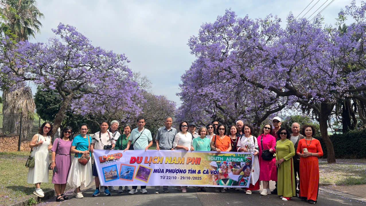 Thủ đô Pretoria mùa hoa phượng tím Jacaranda rực rỡ