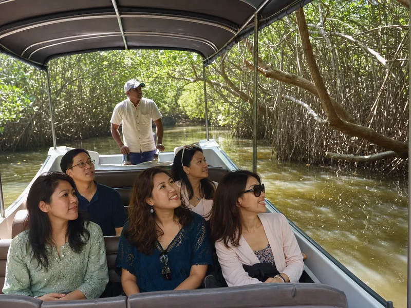 Du ngoạn thuyền trên sông Madu giữa rừng ngập mặn tại Bentota