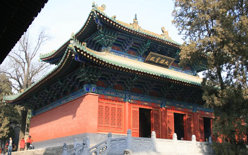 Võ sư biểu diễn võ thuật Thiếu Lâm Tự Kungfu