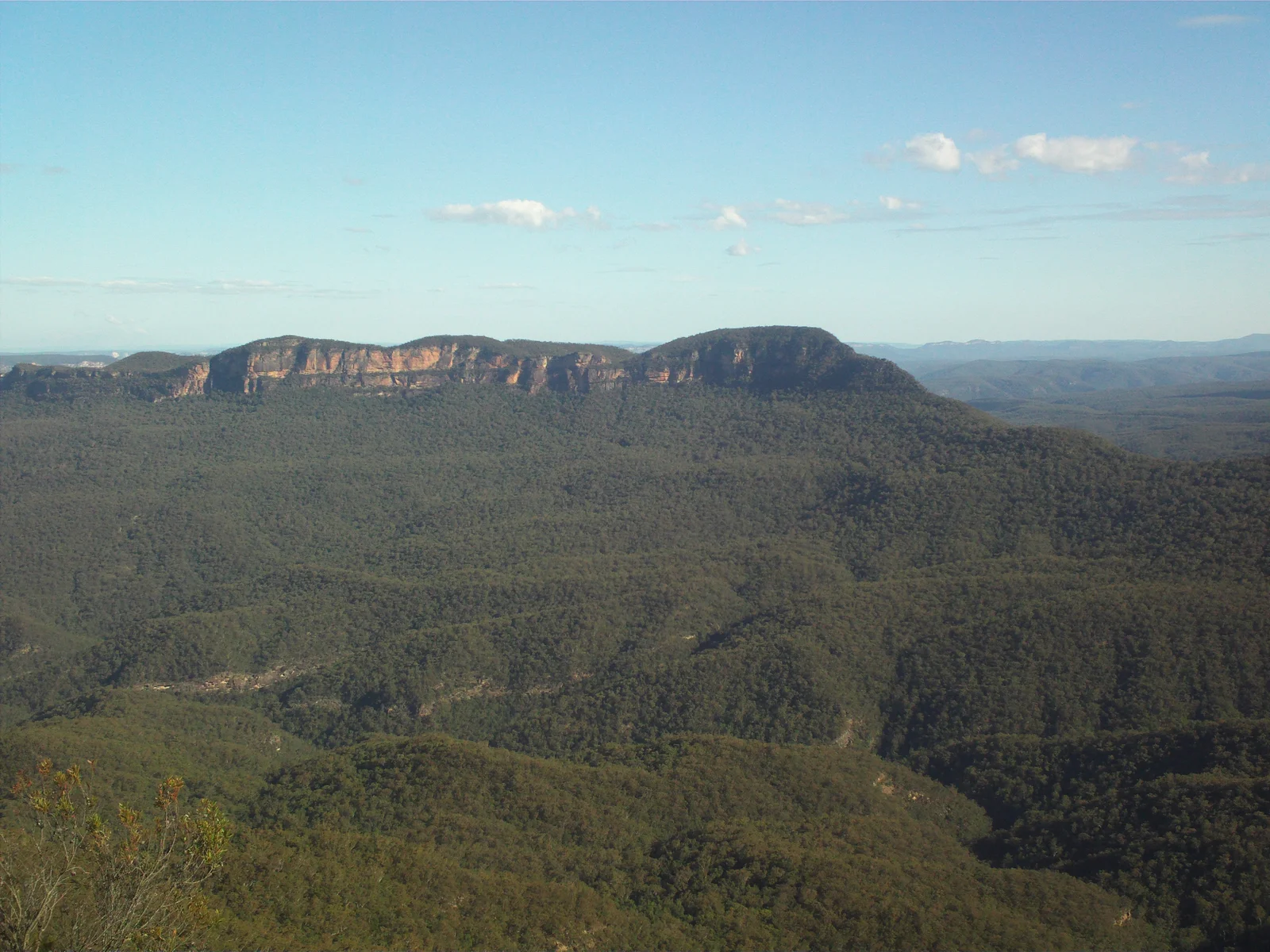 Toàn cảnh thung lũng Jamison và rừng cây khuynh diệp bạt ngàn nhìn từ đài quan sát Echo Point Blue Mountains Úc