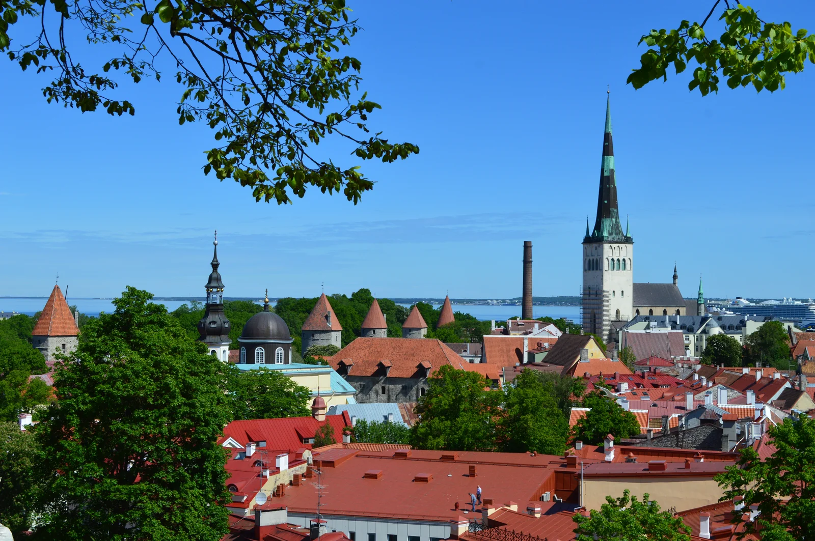 Toàn cảnh khu phố cổ thời Trung cổ Tallinn Old Town với các ngọn tháp nhọn nhà thờ và mái ngói đỏ nhìn từ đài quan sát Toompea