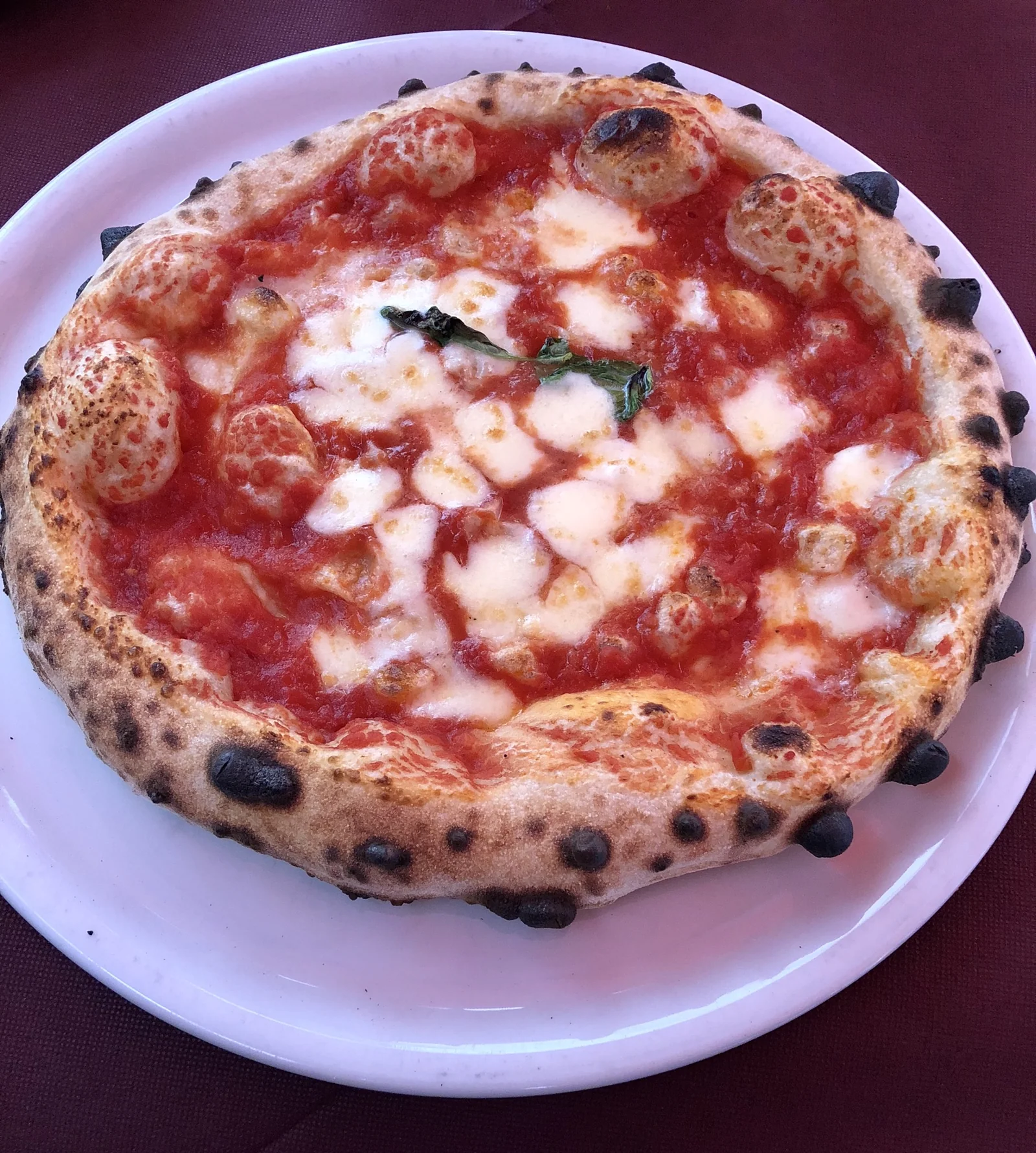 Chiếc bánh Pizza Margherita nướng củi phồng rộp viền xém cạnh truyền thống tại Naples miền Nam Ý