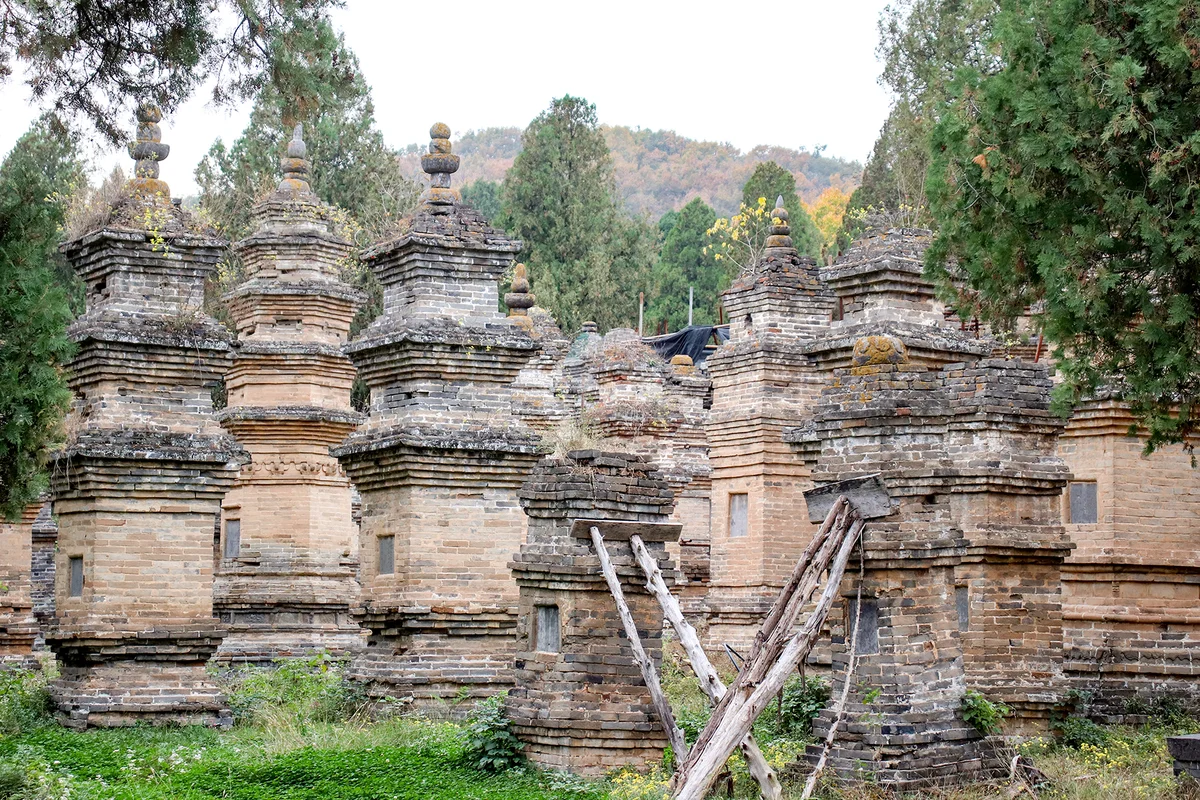 Rừng Tháp Tháp Lâm di sản UNESCO tại Thiếu Lâm Tự