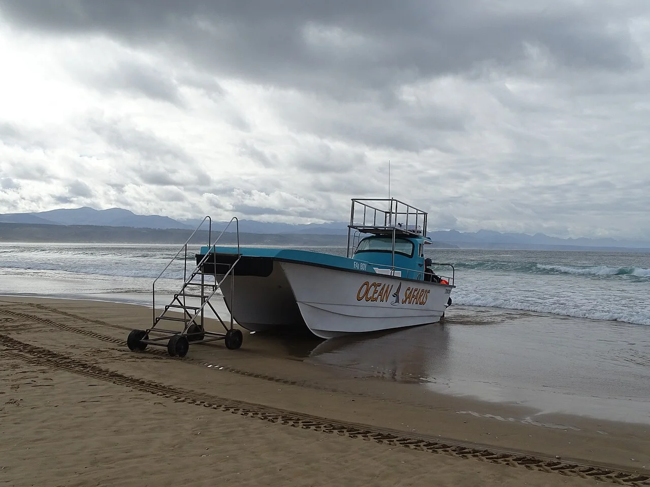 Du thuyền hai thân chuyên dụng Catamaran rẽ sóng đại dương đưa du khách tiếp cận cự ly gần đàn cá voi tại vịnh biển Hermanus Nam Phi