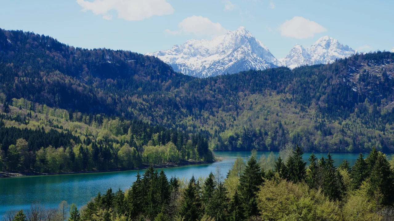 Lâu đài Hohenschwangau tường vàng ngói đỏ nổi bật giữa thung lũng hồ nước xanh ngắt và rặng núi Alps
