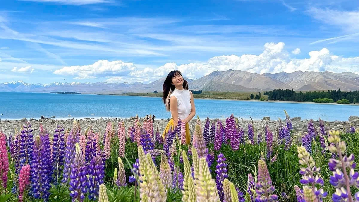 Hồ Tekapo mùa hoa Lupin - New Zealand