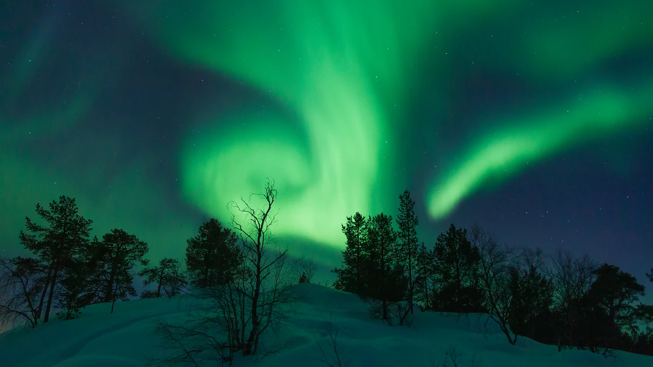 Dải ánh sáng Cực quang xanh lục nhảy múa trên bầu trời đêm giữa rừng thông tuyết trắng Lapland Phần Lan