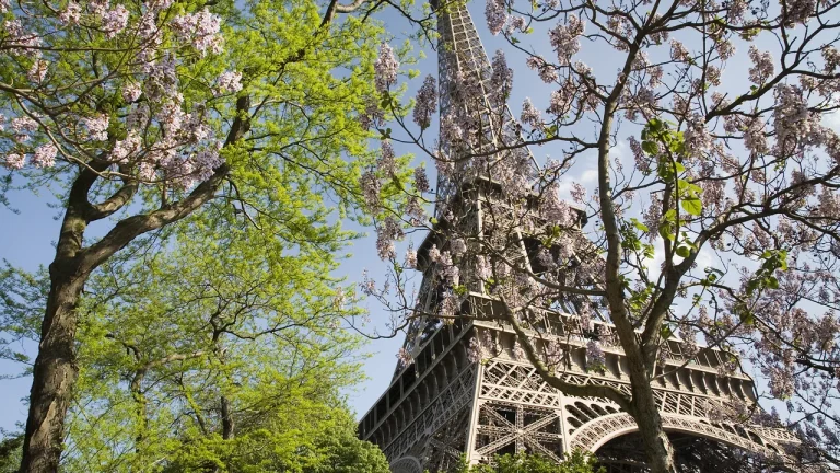Tháp Eiffel vươn cao trên quảng trường Champ de Mars rợp bóng cây xanh tại Paris