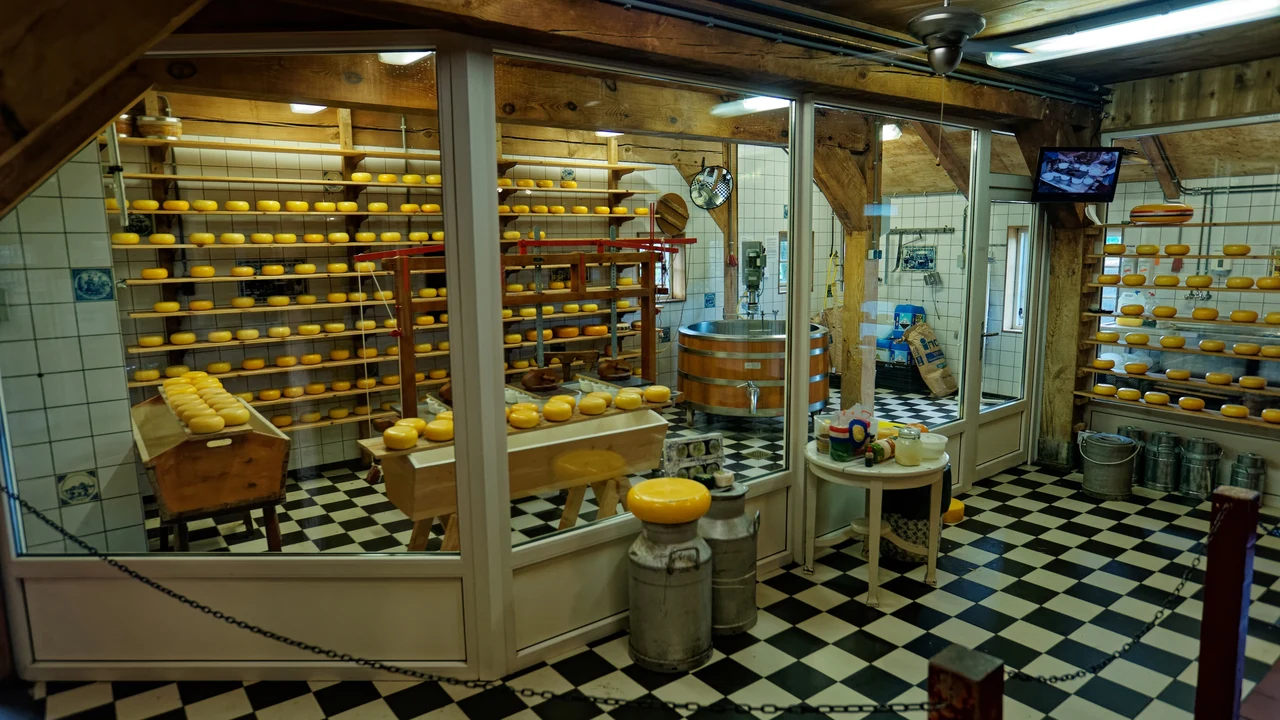 Khuôn viên sản xuất phô mai bò sữa truyền thống tại trang trại De Catharina Hoeve Zaanse Schans Hà Lan