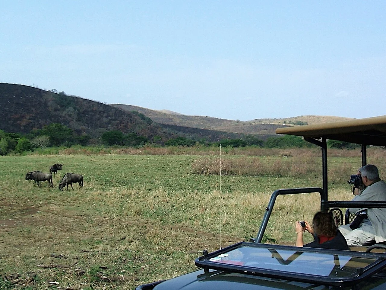Du khách trải nghiệm xe Jeep mui trần 4x4 Game Drive chuyên dụng lướt trên thảo nguyên savan săn đón động vật hoang dã tại Nam Phi